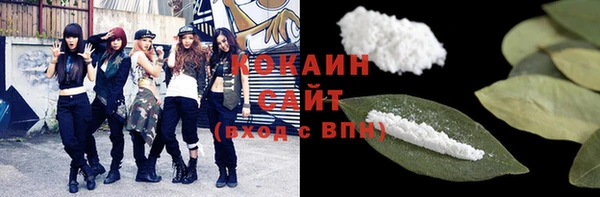 МДПВ Заводоуковск