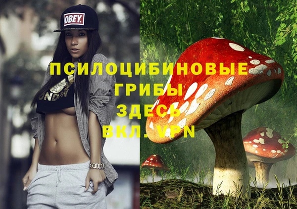 МДПВ Заводоуковск