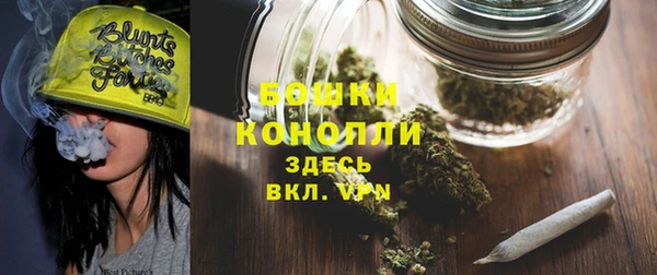 МДПВ Заводоуковск