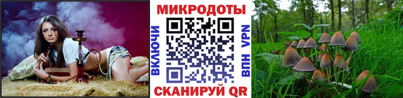 Купить где  Иннополис  Псилоцибиновые грибы мухоморы 